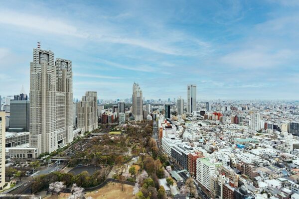 セントラルパークタワー・ラ・トゥール新宿　3909号室　眺望